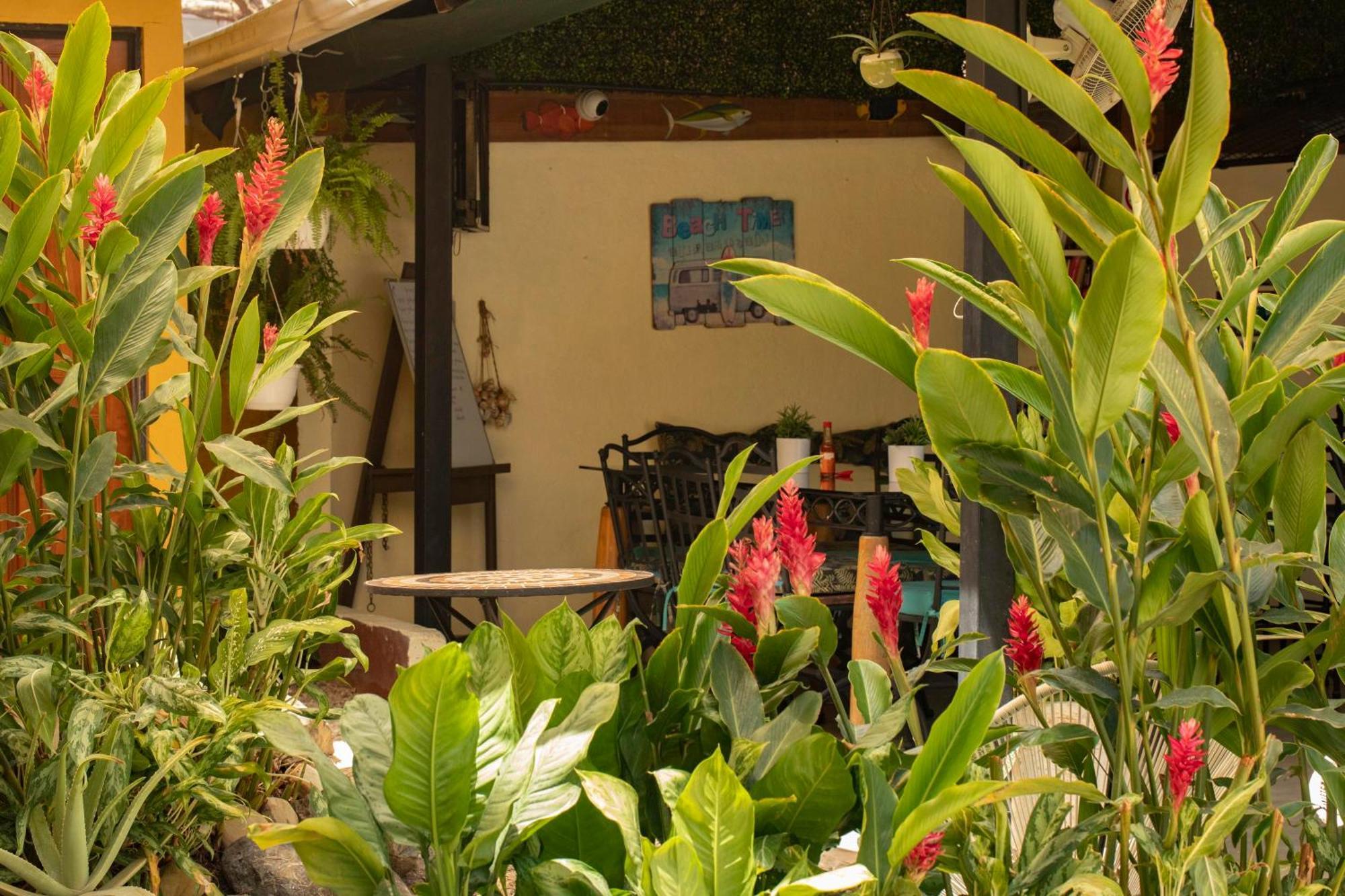 Hotel Laura'S House โกโก ภายนอก รูปภาพ